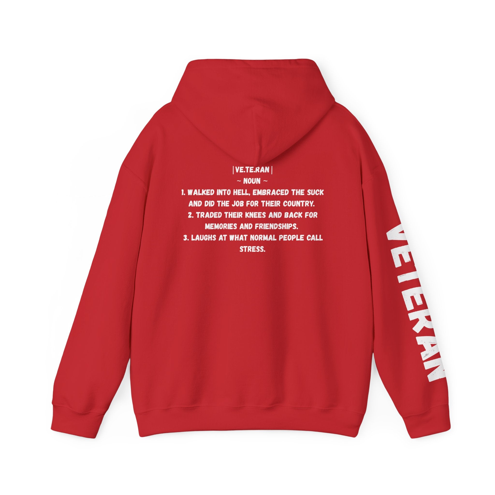 Veteran Patriotic Hoodie ~ Rebel Spirit Unisex Hoodie