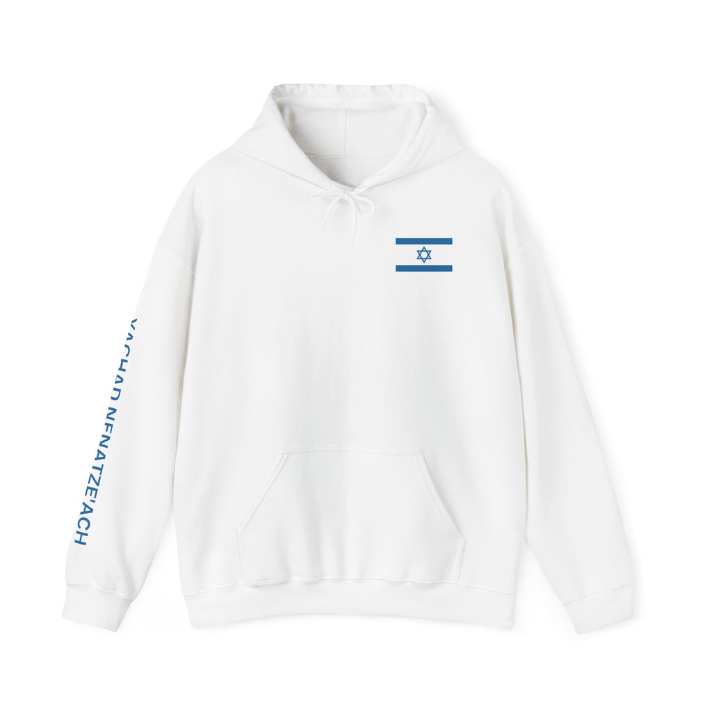 Isreal Flag And Map ~ Rebel Spirit Unisex Hoodie